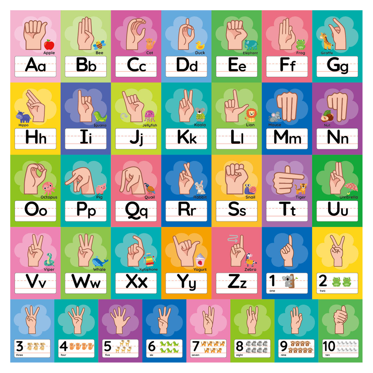 ASL Alphabet and Number Flash Cards – 36 PCS Bulletin Board Set for Preschool & Kindergarten