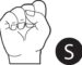 S in Sign Language